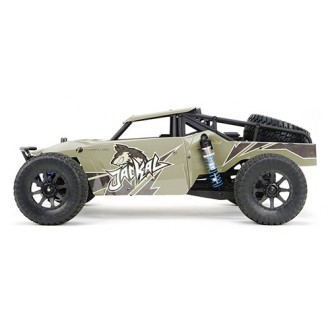 Jackal store desert buggy